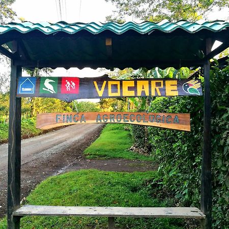 Vocare Finca Agroecologica Upala 外观 照片