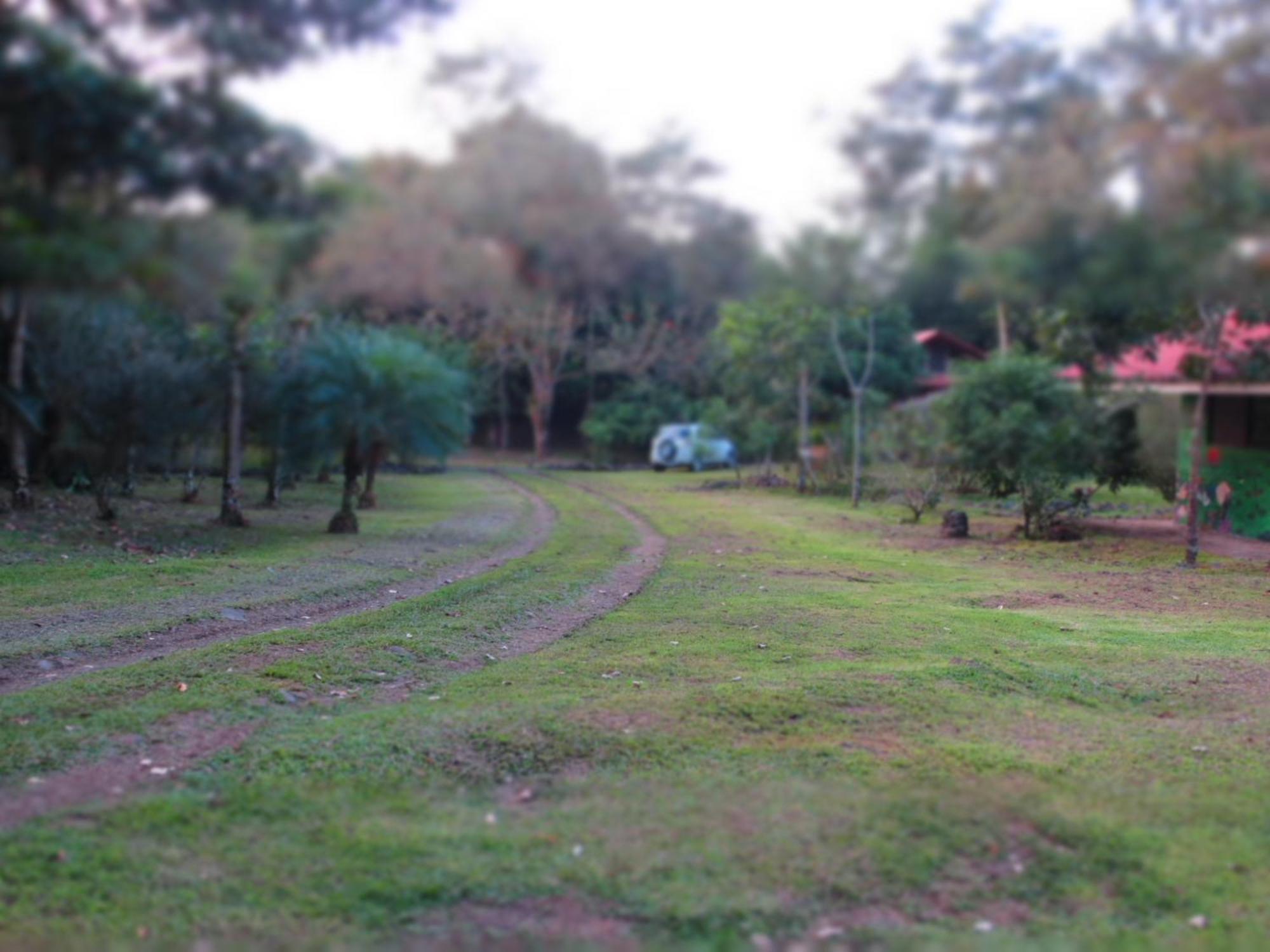 Vocare Finca Agroecologica Upala 外观 照片